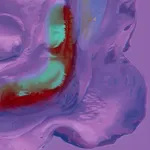 Fawn Rogers, Our Lady Guadalupe, 2020