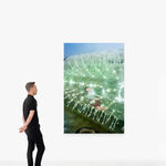 FENG Li, Amber, 2018