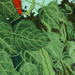 Dianna Settles, If these are omens let us pray to bend them. Shorn and sure, 2023