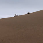 Liu Xin, teratoma, 2019