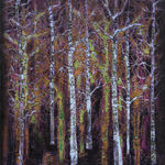 Ziping Wang, My memory of summer night is a cup of moonshine 我对于夏日夜晚的回忆是一杯月酿, 2023