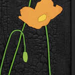 Laurent Pernot, Les rêves noirs – Fire poppies, 2025