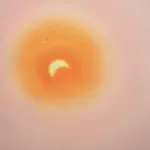 XIE Fan, Celestial Signs, 2026