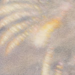 Fawn Rogers, Comet Tail #3, 2022