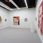 Fawn Rogers, Comet Tail #3, 2022