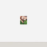 Fawn Rogers, Our Lady Guadalupe, 2020