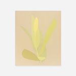 Manuel Stehli, Untitled (Tulip 3), 2023