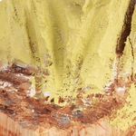 Shinya Azuma, Dancing Tiger(Chipi Chapa), 2024