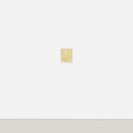 Manuel Stehli, Untitled (Tulip 3), 2023