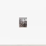 Ziping Wang, Velvet footstep, 2021