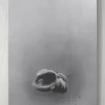 ZHANG Yunyao, Spirit, water drop and the light (4), 2021