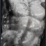 ZHANG Yunyao, Emotion Study II (Quadriptych), 2021 - 2022