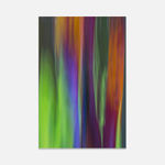 Damián Hernández, Gráfica Corteza Arcoiris VII, 2013