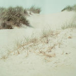 Rachel Perry, Sweet and Happy, 2015