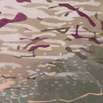 Laura Fayer, Enchanted Beyond, 2022