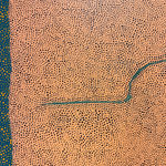 Group of ceramic work by Monica Banks