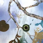 Marilla Palmer, Fruit of the Japanese Maple, 2013