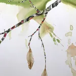 Marilla Palmer, Dangling Iris, 2013