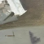 close up detail of a still life oil painting