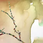 Marilla Palmer, Dangling Iris, 2013