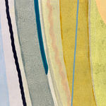 Ky Anderson, Bird Conservation, 2018