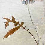 Marilla Palmer, The Hypnotic Bouquet, 2018