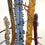 Katie DeGroot, Untitled (Burnt Orange), 2020