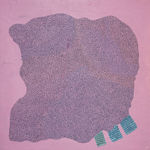 Maeve D'Arcy, Lady Fingers, 2018