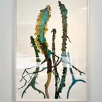 Katie DeGroot, Little Limb II, 2025