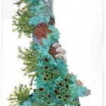 Katie DeGroot, Little Limb II, 2025