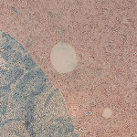 detail image of Maeve D'Arcy "Possum Priest in the Borough of Queens"