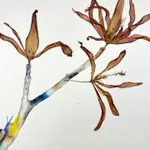 Marilla Palmer, Flying Over the River, 2019