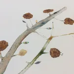 Marilla Palmer, Moonbeams Stained Blue, 2016