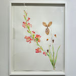 Marilla Palmer, Glaux, The Night Owl, 2016-2023