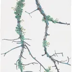 Katie DeGroot, Little Limb II, 2025