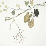 Marilla Palmer, The Wasp in the Garden , 2017