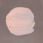 Laura Bidwa, Artist Talk 17, 2023