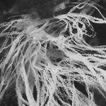 Tamar Zinn, Where I find myself 30, 2021