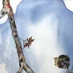 Marilla Palmer, Fruit of the Japanese Maple, 2013