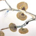 Marilla Palmer, The Wasp in the Garden , 2017