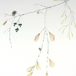 Marilla Palmer, Willow, Willow, 2017