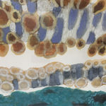 Katie DeGroot, Continued Discussions l, 2021