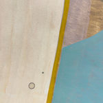 Ky Anderson, Bird Conservation, 2018