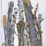 Katie DeGroot, Protea, 2023