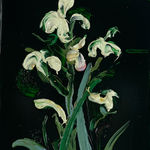 Samantha Haring, Pileup, 2024