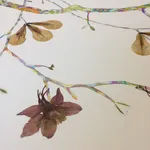 Marilla Palmer, The Rimpa Plum Trees, 2016