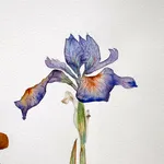 Marilla Palmer, Irises and Sequins, 2023