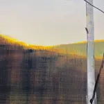 Stephen Pentak, 2022, VII.II, 2022