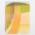 Ky Anderson, Bird Conservation, 2018