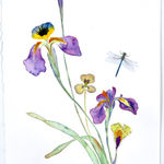 Marilla Palmer, The Hypnotic Bouquet, 2018